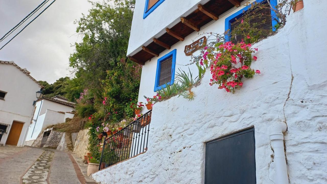 Villa Casa El Olivo By Casaturistica Benalauría Exterior foto