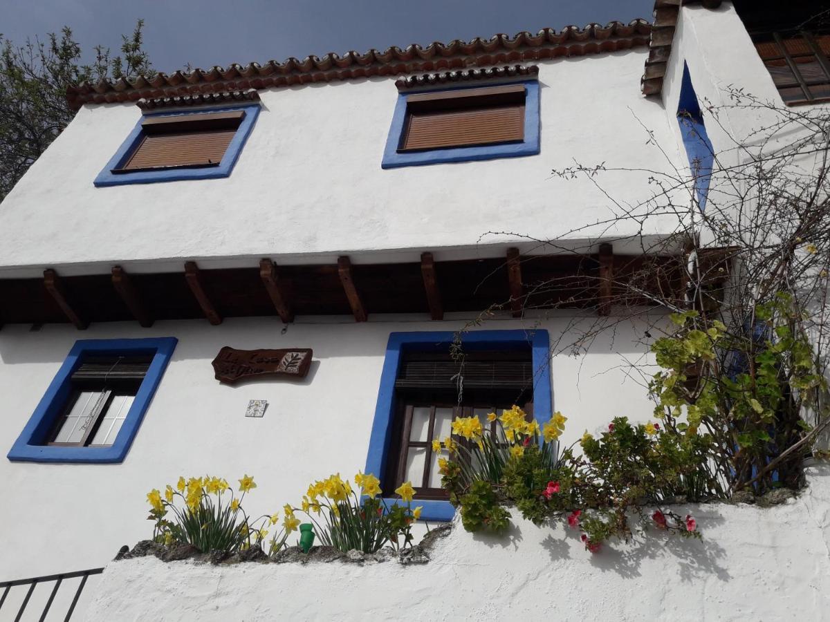 Villa Casa El Olivo By Casaturistica Benalauría Exterior foto